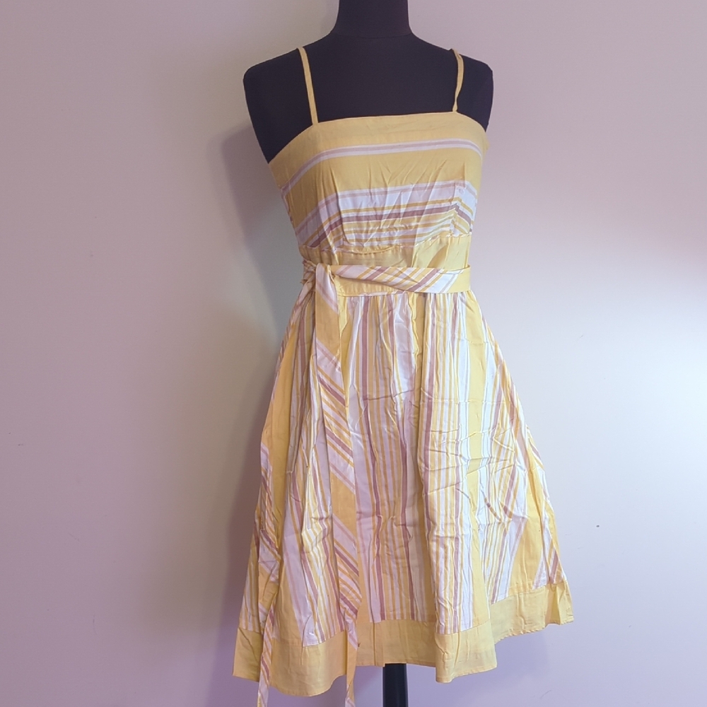 Tailor B. Moss Yellow and White Striped Mini Dress
